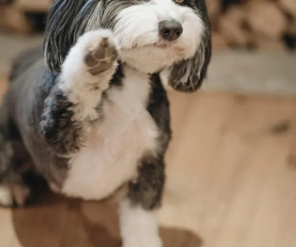 Hotel Der Greil - Wein & Gourmethotel